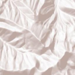 Cache County Terrain Map