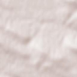 Olmillos de Castro Terrain Map