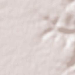 Villaescusa de Roa Terrain Map