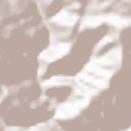 Srbinovo Terrain Map