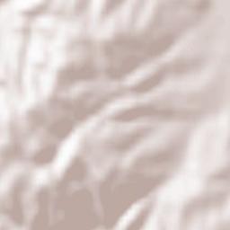 Vladimirovo Terrain Map