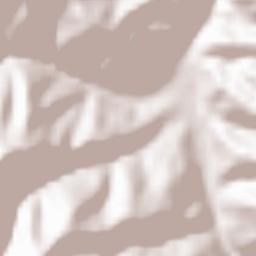 Chepelare Terrain Map