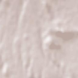 Didi Lilo Terrain Map