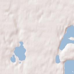 Forestdale Terrain Map