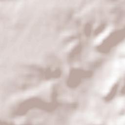 Piñel de Abajo Terrain Map