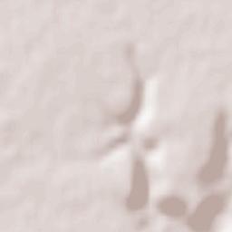 San Llorente Terrain Map