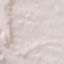 Torrefarrera Terrain Map