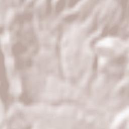 Case Campoli-Panetta Terrain Map