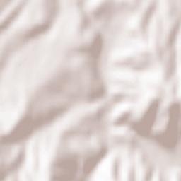 Rusinovo Terrain Map