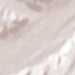 Gereykhanovskoye Terrain Map