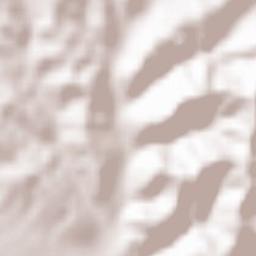 Gallinaro Terrain Map