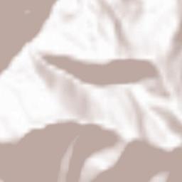 Akhaldaba Terrain Map