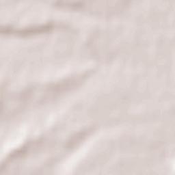 Torres del Carrizal Terrain Map