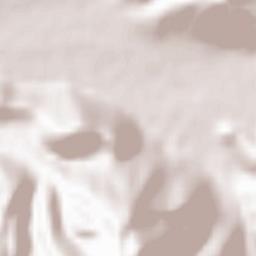 Atina Inferiore Terrain Map