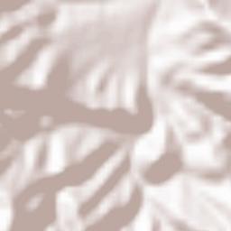 Madzharovo Terrain Map