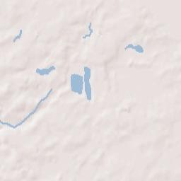 Oak Forest Terrain Map