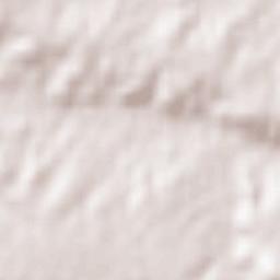 Santa Cruz de la Salceda Terrain Map