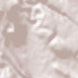 Torrelapaja Terrain Map