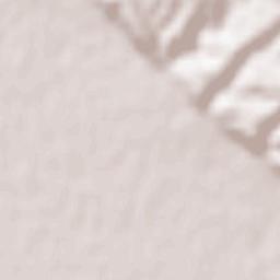 Nuez de Ebro Terrain Map