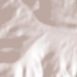 Bogomila Terrain Map