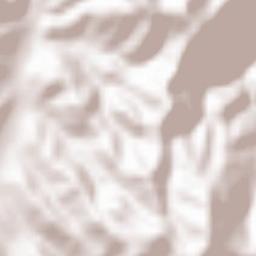 Obshtina Ardino Terrain Map