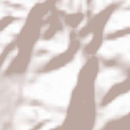 Khelvachauri Terrain Map