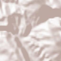 Rrethi i Krujës Terrain Map