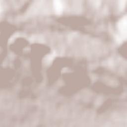 T’et’ri Tsqaro Terrain Map