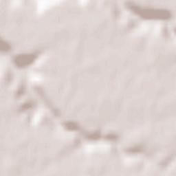 Cogeces del Monte Terrain Map