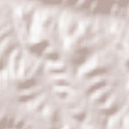 Miño de San Esteban Terrain Map