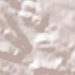 Bijuesca Terrain Map