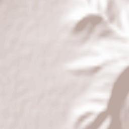 Crnilište Terrain Map