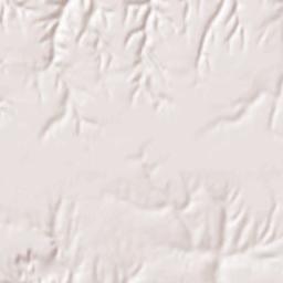 East Moline Terrain Map