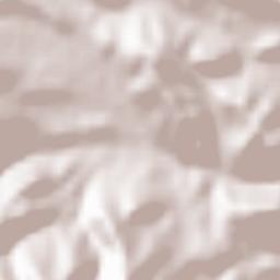 Sestrica Terrain Map