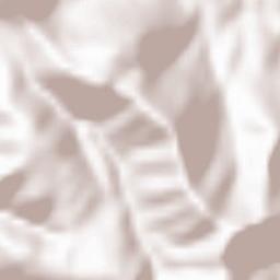 Castro dei Volsci Terrain Map