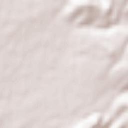 San Bartolomeo Terrain Map