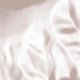 Bulqizë Terrain Map