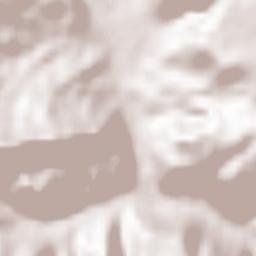 Asp’indzis Munitsip’alit’et’i Terrain Map