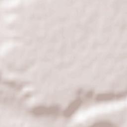 San Miguel del Arroyo Terrain Map