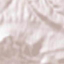 Pradales Terrain Map