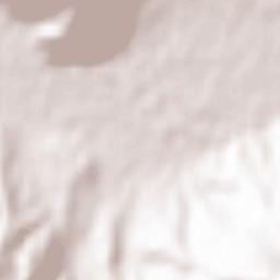 Vraneštica Terrain Map