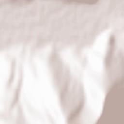 Lisičani Terrain Map