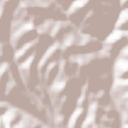 Obshtina Nedelino Terrain Map