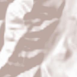 Chasŏng Terrain Map