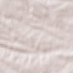 Cedillo de la Torre Terrain Map