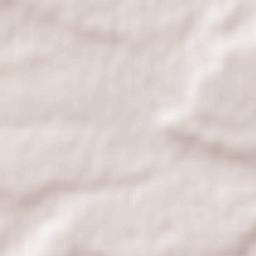 Campo de San Pedro Terrain Map