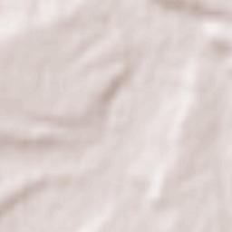 Riaguas de San Bartolomé Terrain Map