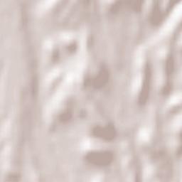 Torralba de Ribota Terrain Map