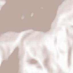 Usukhchay Terrain Map