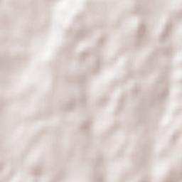 Vila Nova de Famalicão Terrain Map